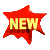 newCLR1.gif (4909 bytes)